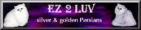 EZ@LUV Silver Persians